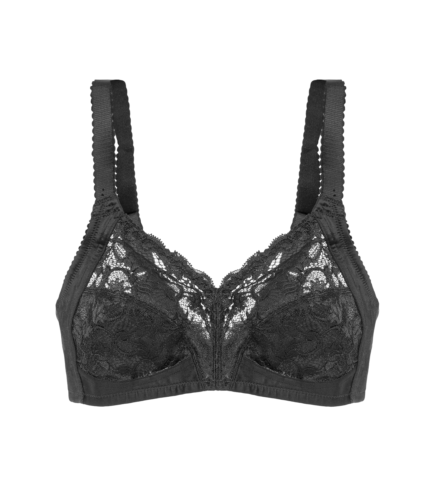 Bh Delicate Doreen N, Triumph