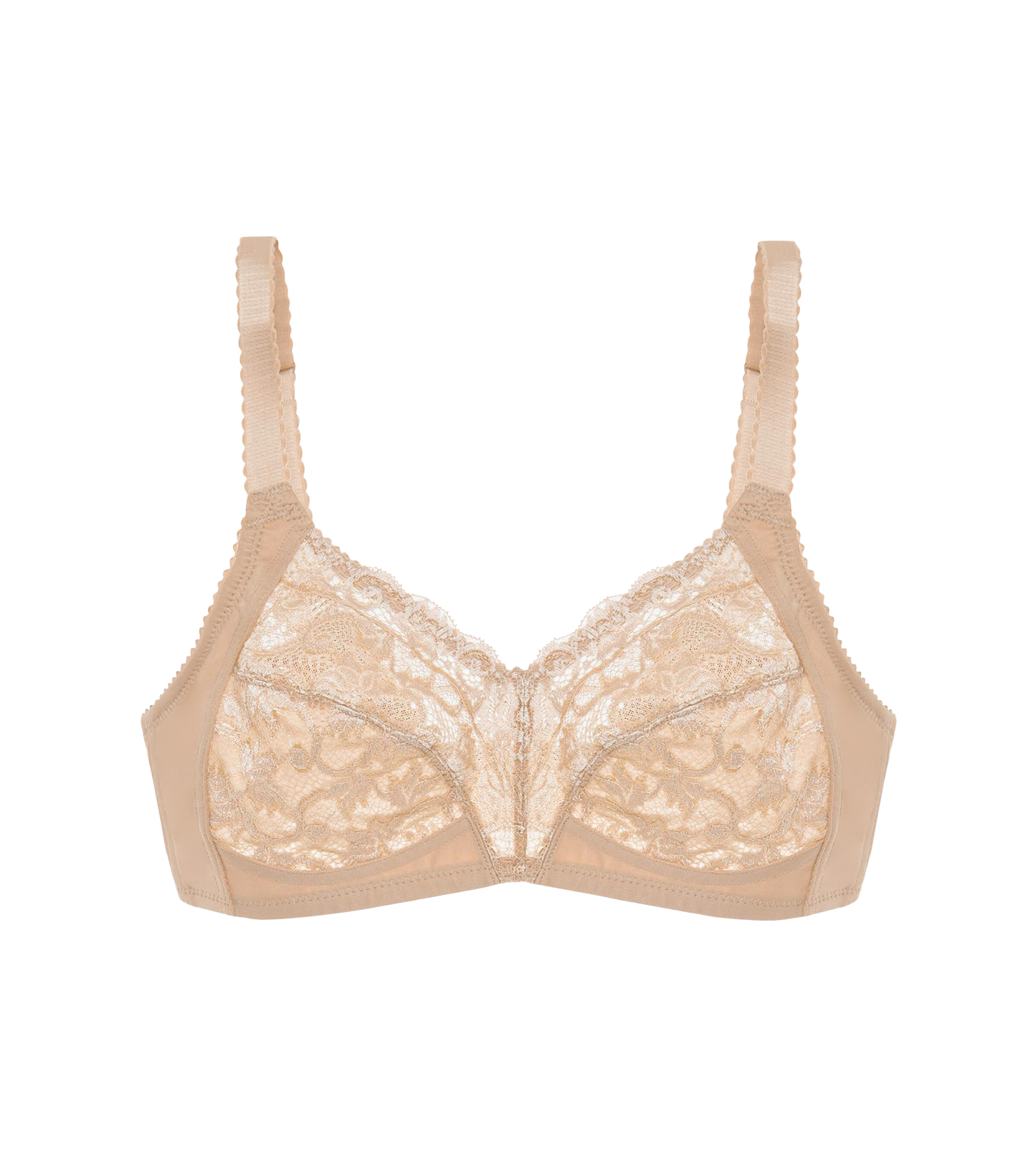 Bh Delicate Doreen N, Triumph