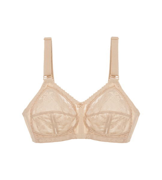 BH Doreen X, Triumph