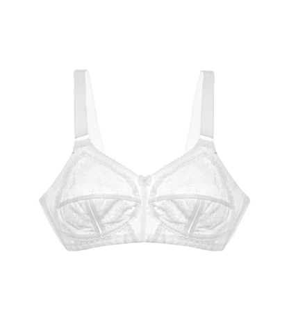 BH Doreen X, Triumph